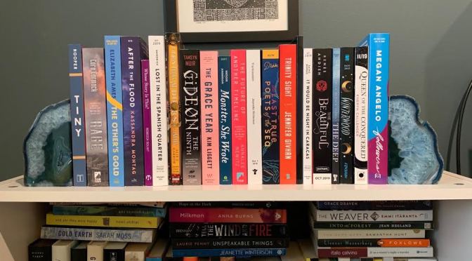 Most Anticipated New Releases: Second Half of 2019 (Belated but still happening!)